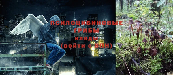 ПСИЛОЦИБИНОВЫЕ ГРИБЫ Алексин