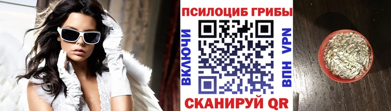 Галлюциногенные грибы Magic Shrooms  kraken зеркало  Чадан 